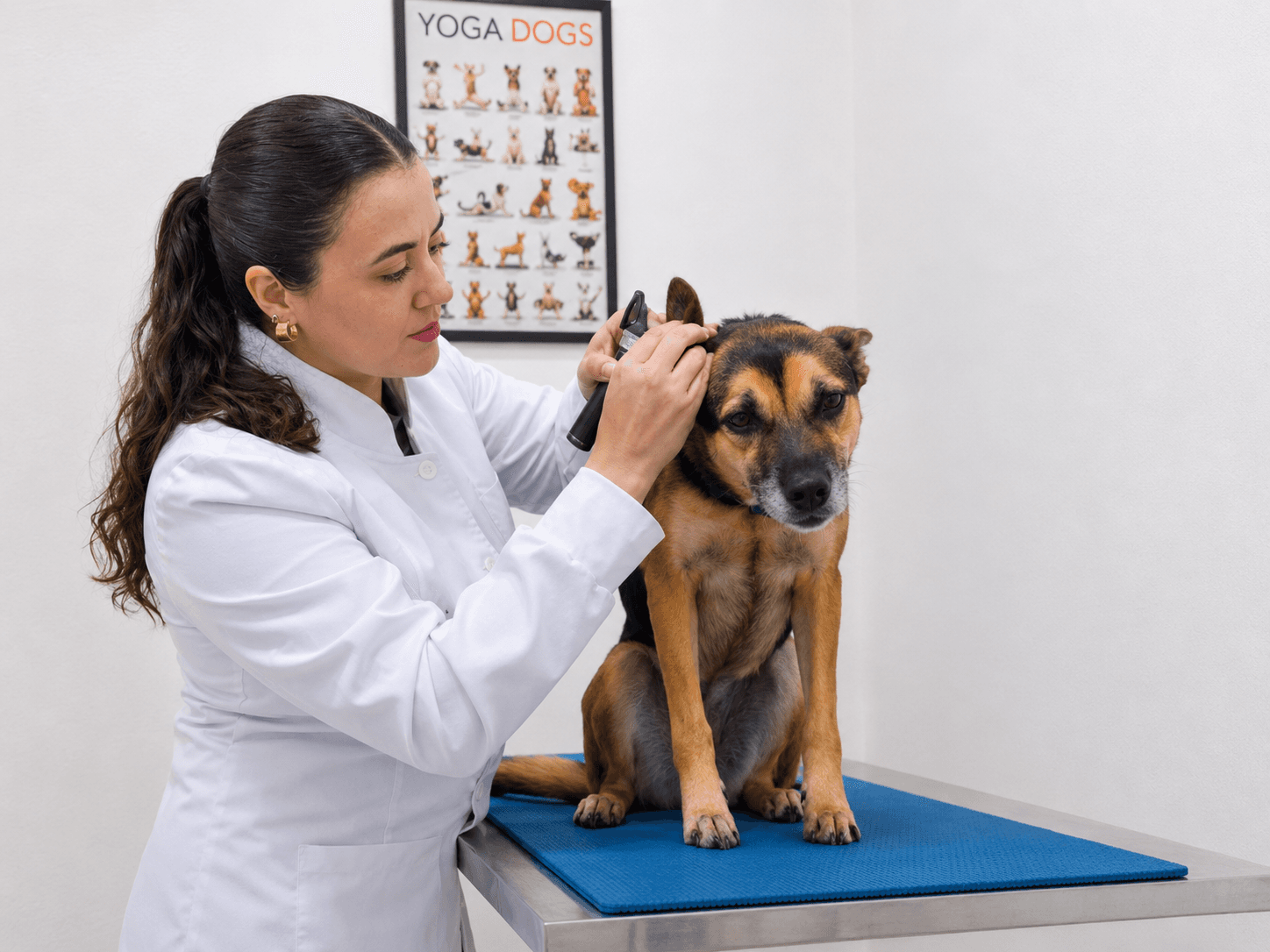 Consultório veterinário — cuidado especializado